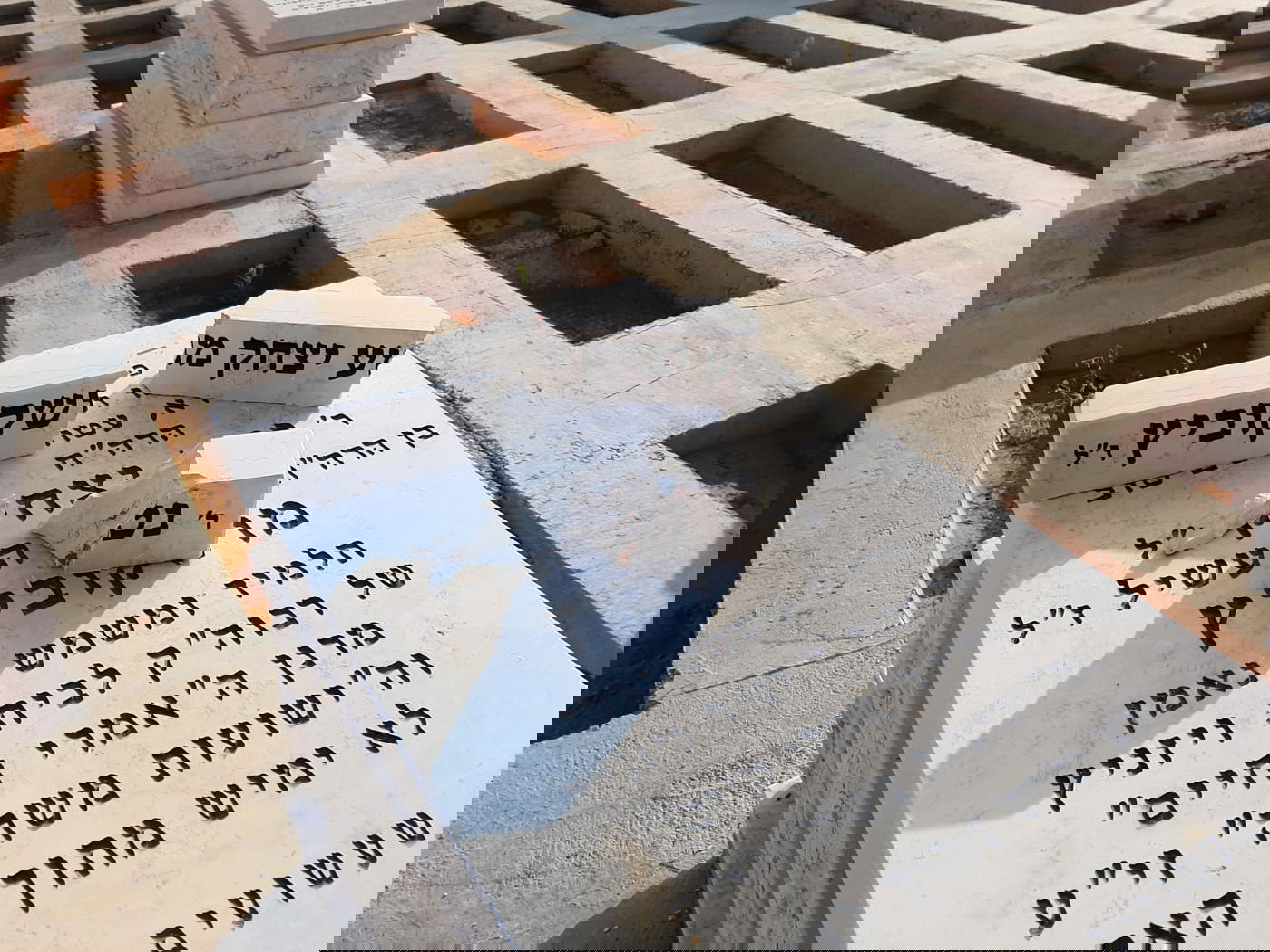 זעזוע: מי השחית את מצבת גבאי האדמו"ר מויז'ניץ?