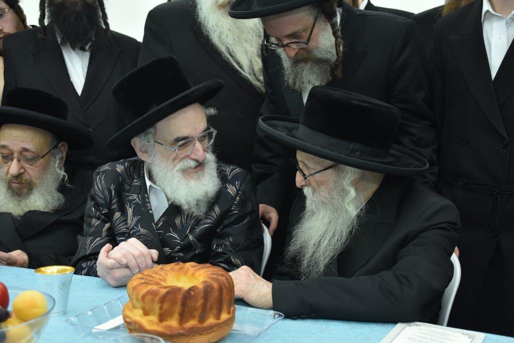 מעמד קבלת פנים לאדמו"ר  מסערדאהלי