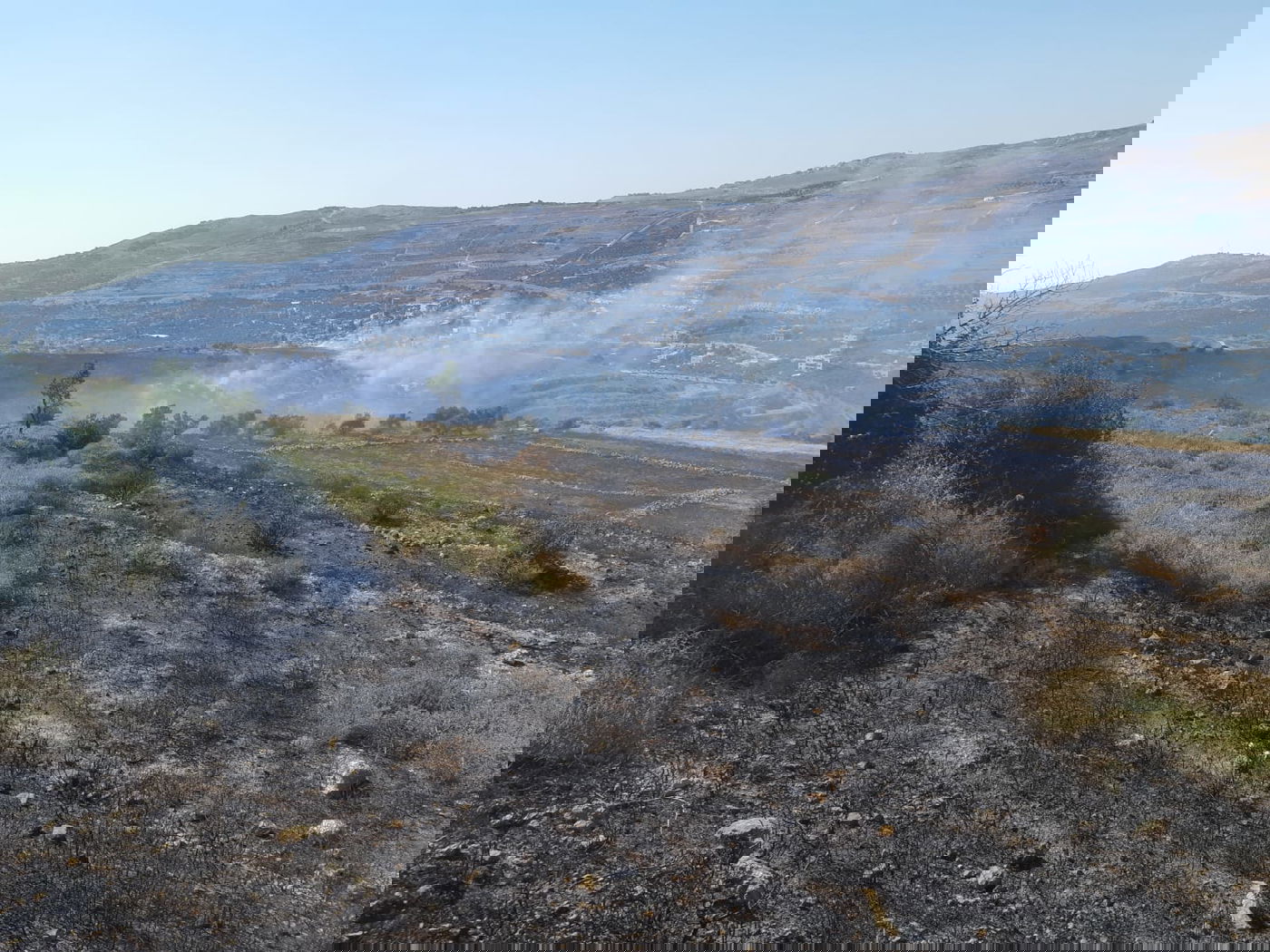 חילופי האשמות: מי מצית השדות ליד יצהר?