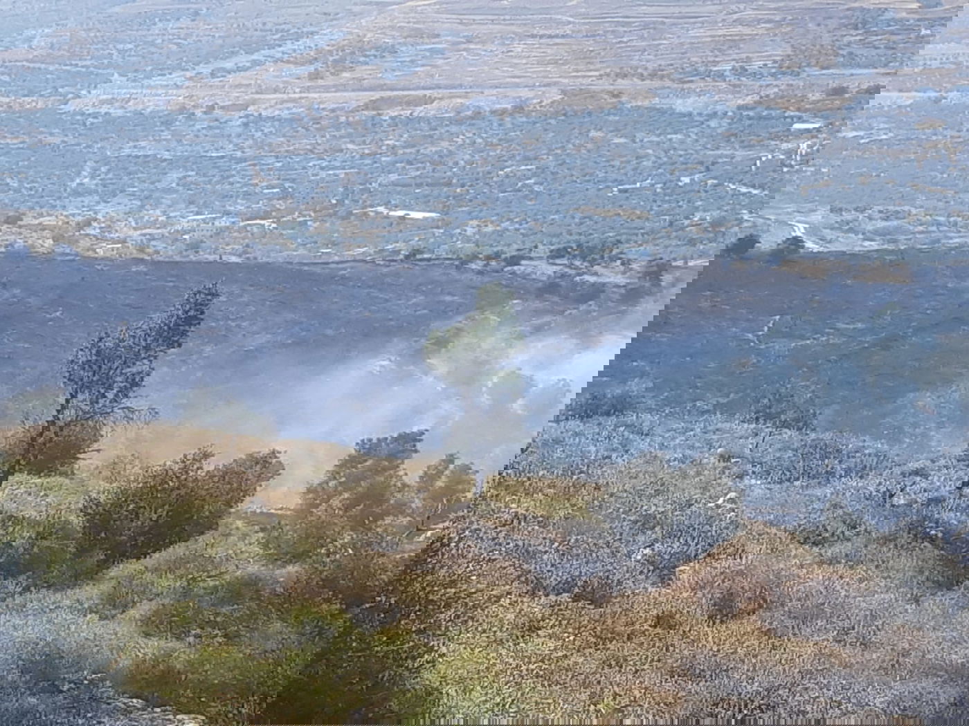 חילופי האשמות: מי מצית השדות ליד יצהר?