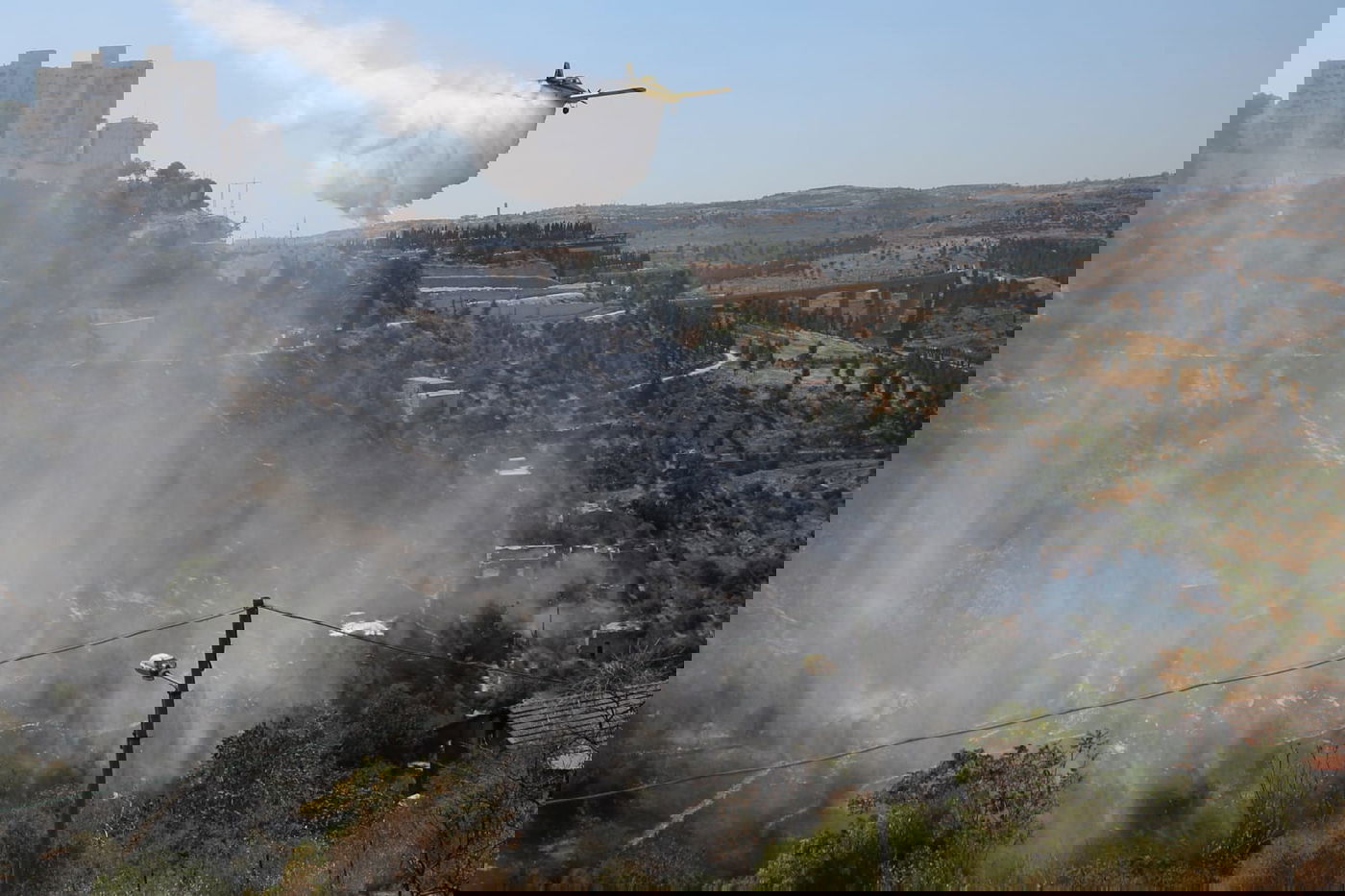 חשש מזליגת השריפה בליפתא לכיוון ירושלים • צפו בתיעוד