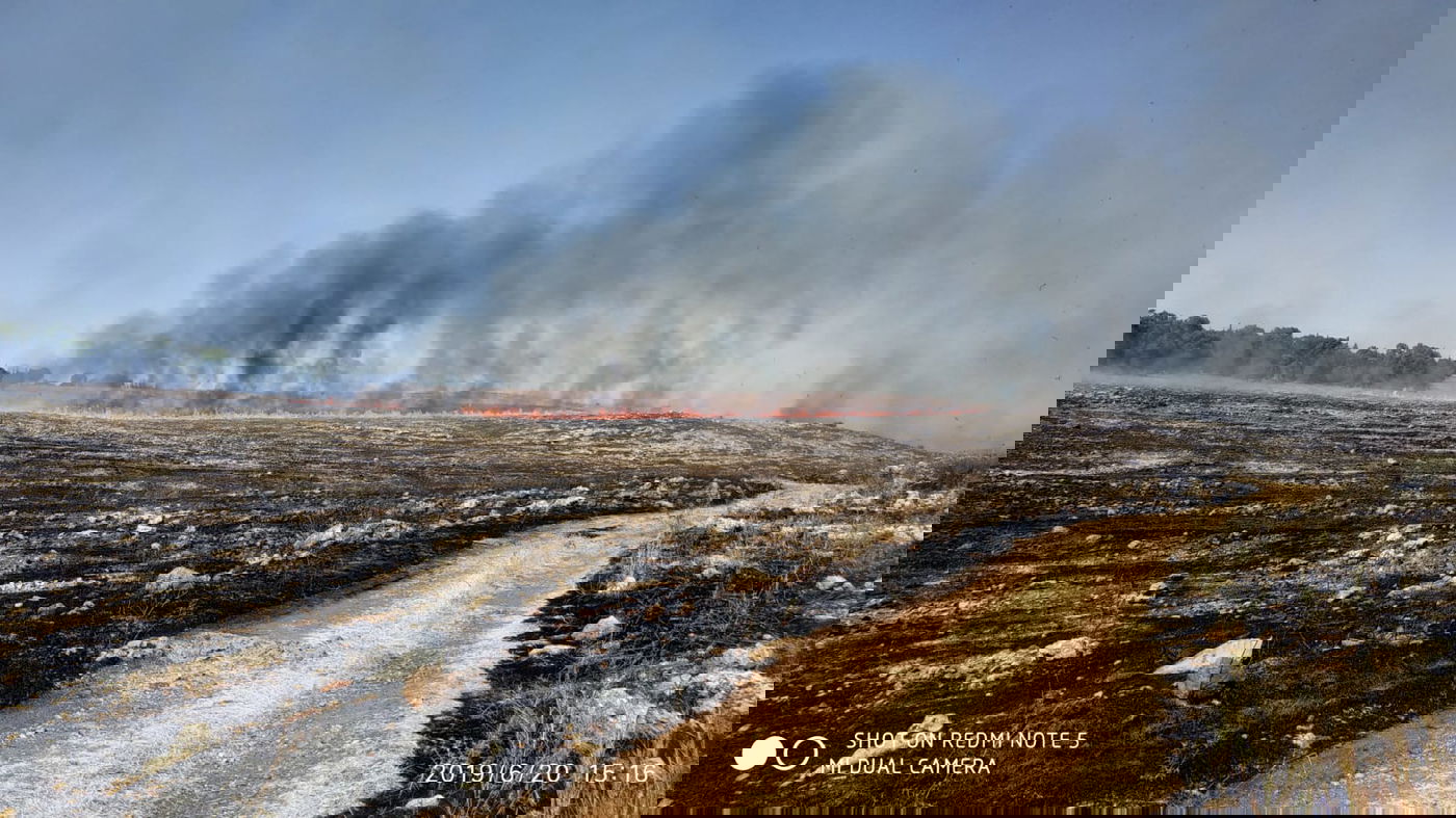 אלעד: הלהבות התקרבו לבסיס האמריקאי