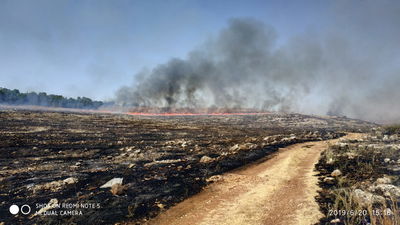 אלעד: הלהבות התקרבו לבסיס האמריקאי