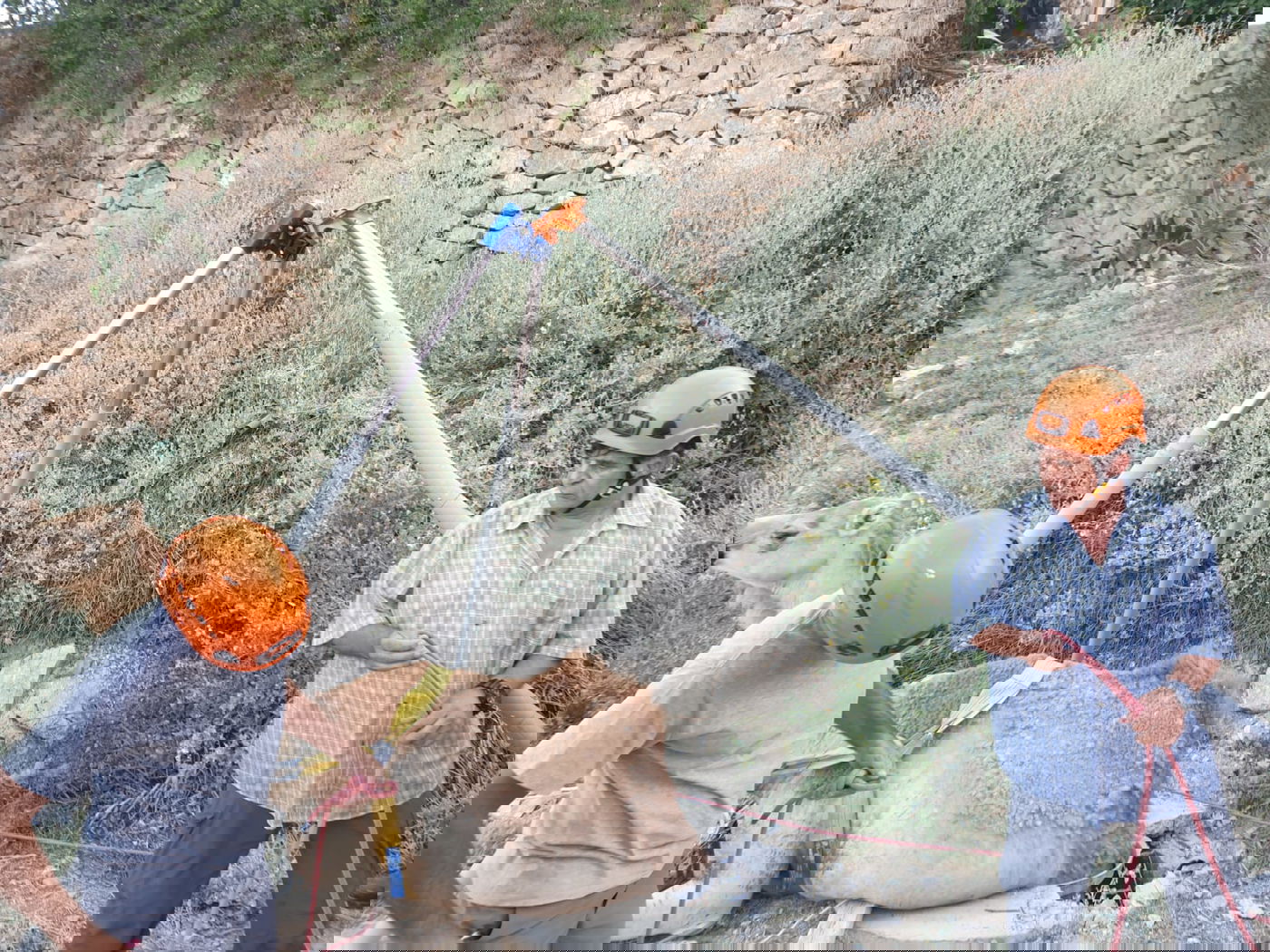 תיעוד: הגמל נפל לבור הביוב - וחולץ בשלום