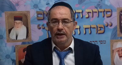 הוורט במרוקאית