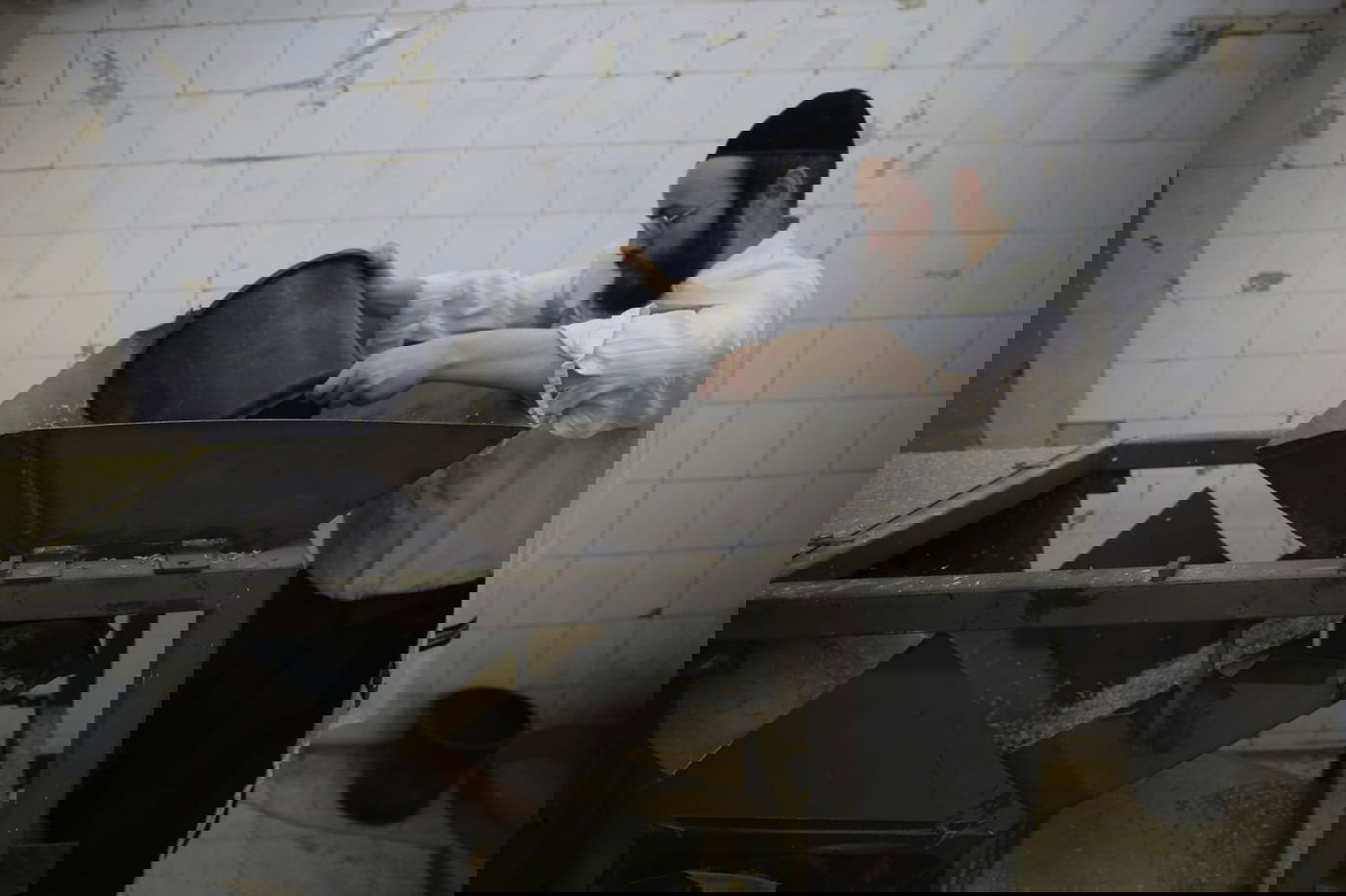 מתכוננים לפסח: החיטה למצות נדושה • צפו