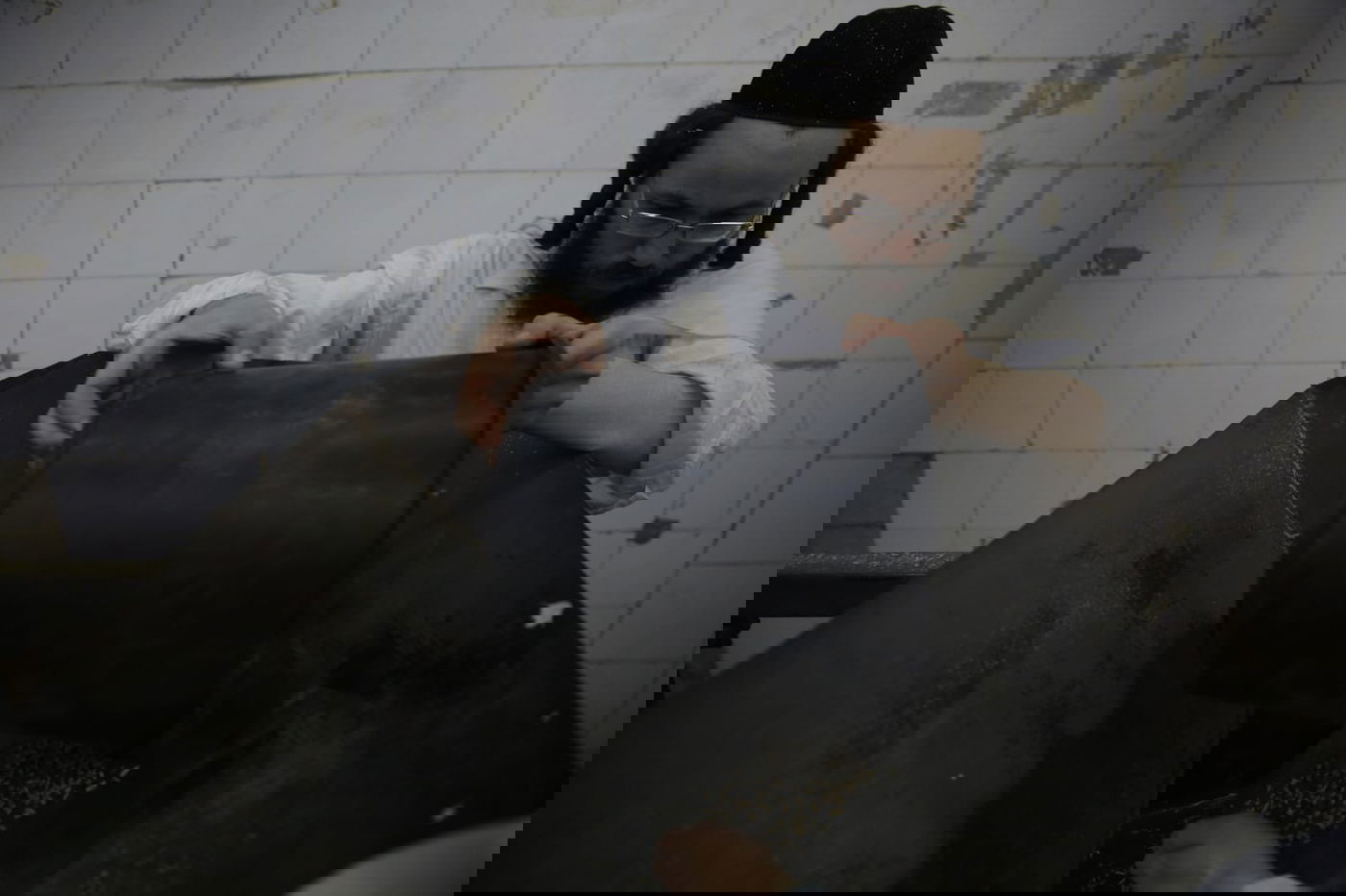 מתכוננים לפסח: החיטה למצות נדושה • צפו