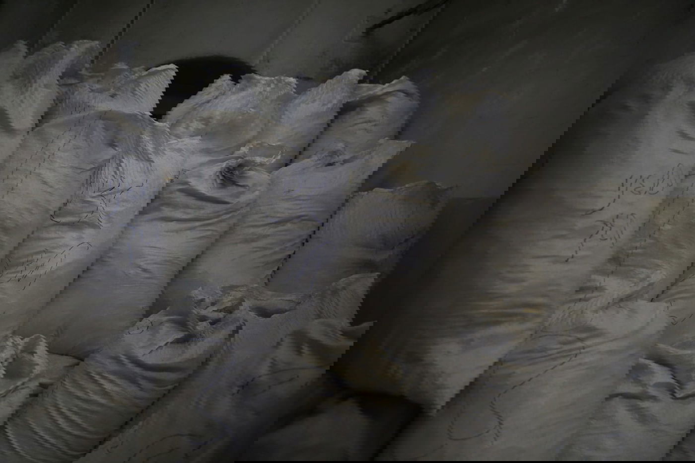 מתכוננים לפסח: החיטה למצות נדושה • צפו