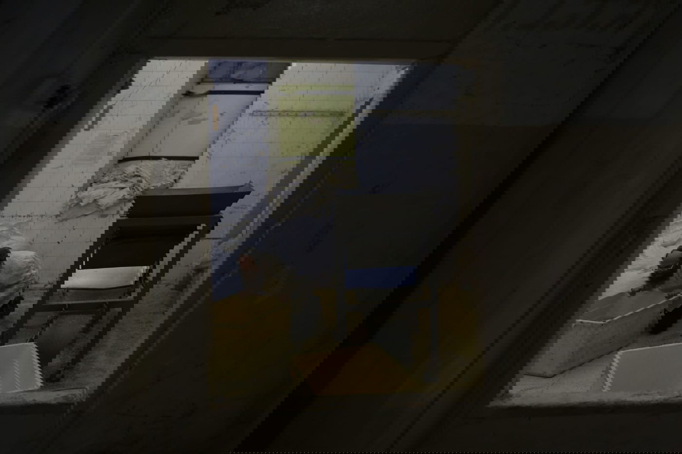 מתכוננים לפסח: החיטה למצות נדושה • צפו