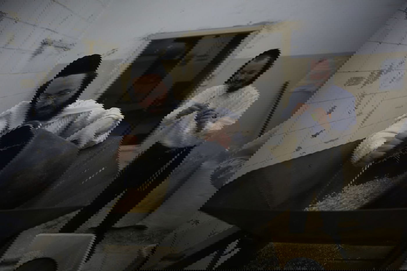 מתכוננים לפסח: החיטה למצות נדושה • צפו