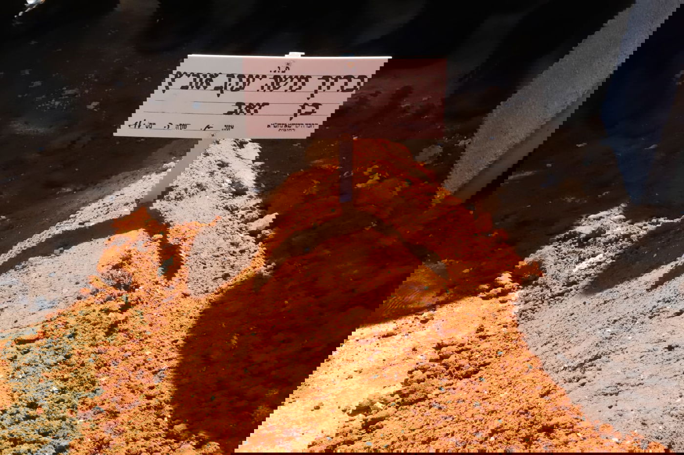 מאות בהלוויית הצלם של גדולי ישראל. צפו