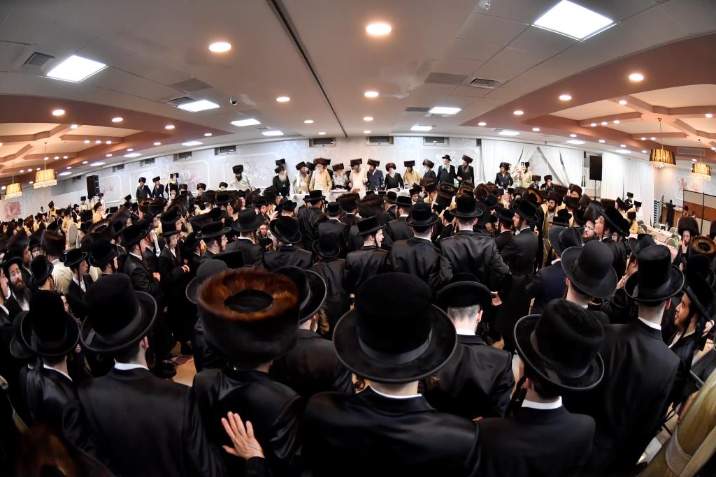 שמחת בית מישקולץ - תולדות אהרן | גלריה