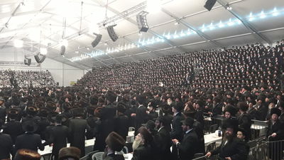 כך קיבלו חסידי באיאן את האדמו"ר בחתונת בתו