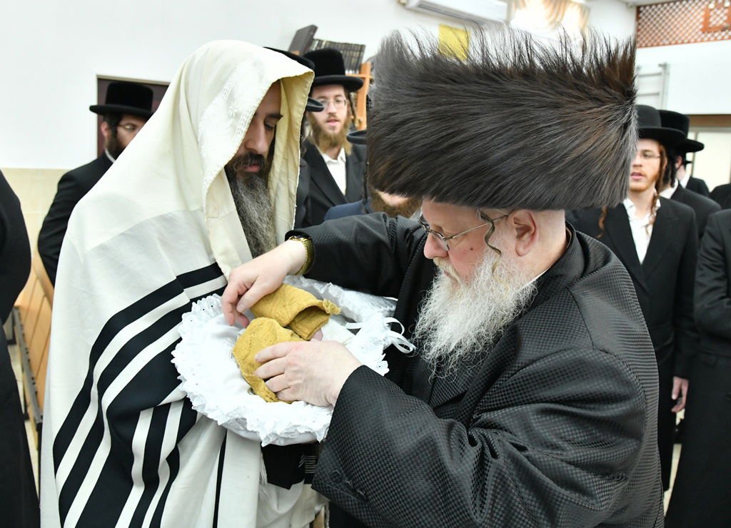 שמחת הברית בחצרות סאסוב-ספינקא-קרעטשניף