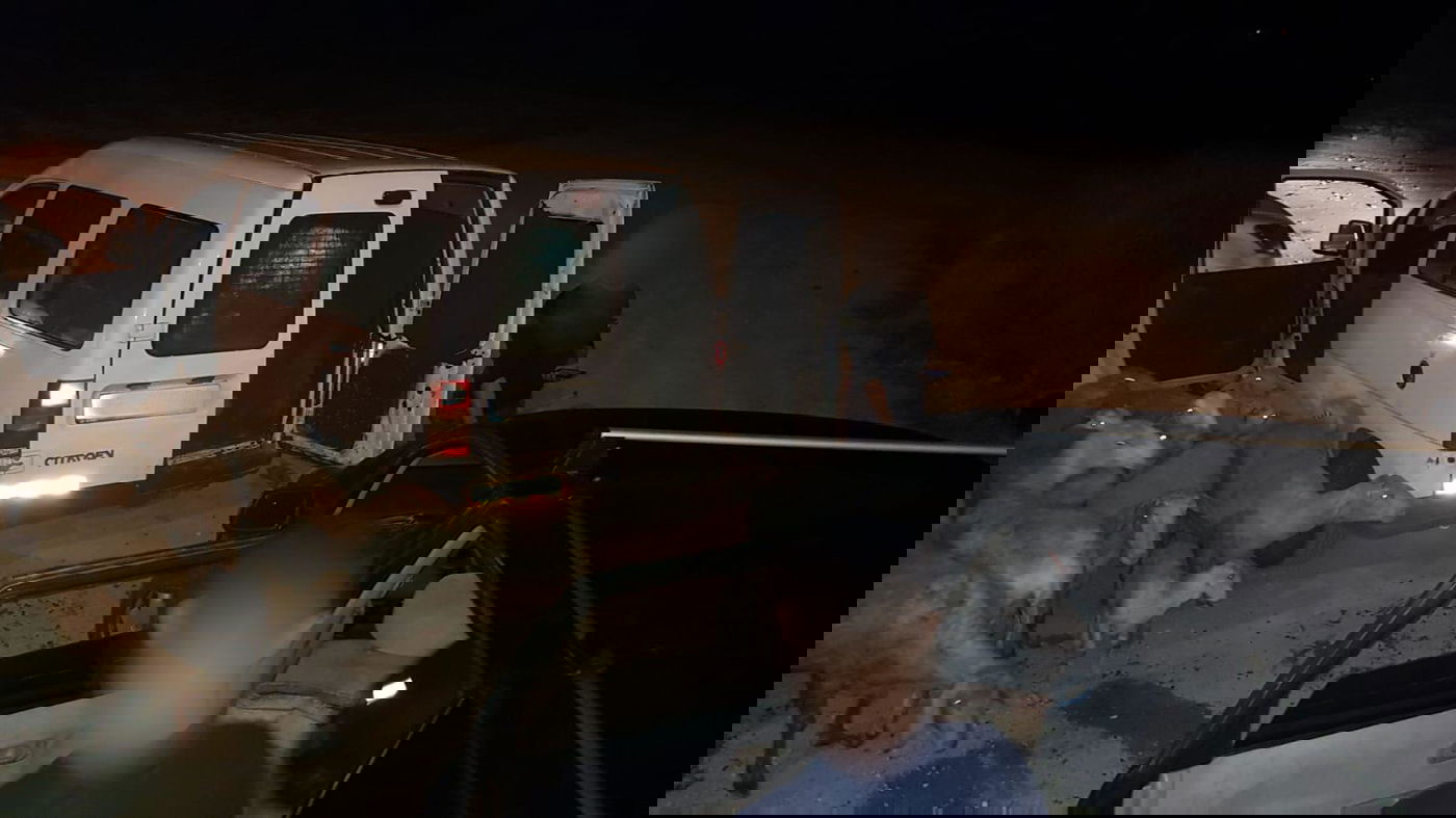 גנבי הכבשים ניגחו ניידות וניסו להימלט. צפו