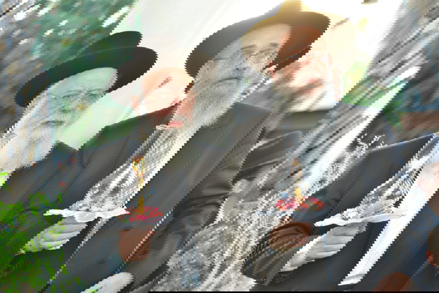 צילום :מוטי גרין