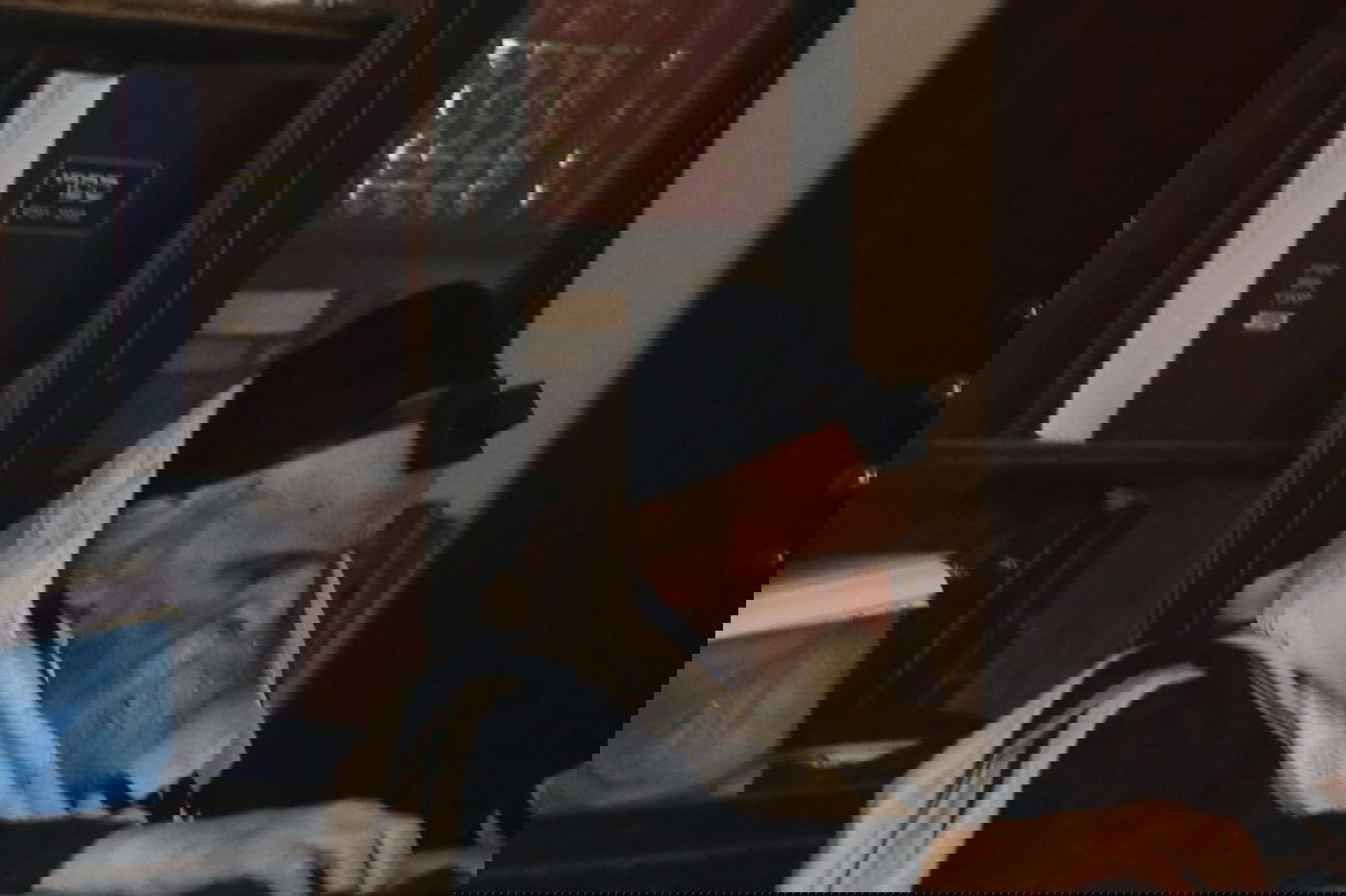 בשקיעה, עם תפילין: תפילת הגרמ"ד סולובייצ'יק