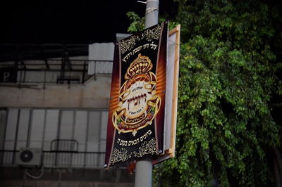 כך נערכים בויז'ניץ לקראת חתונת נכד האדמו"ר