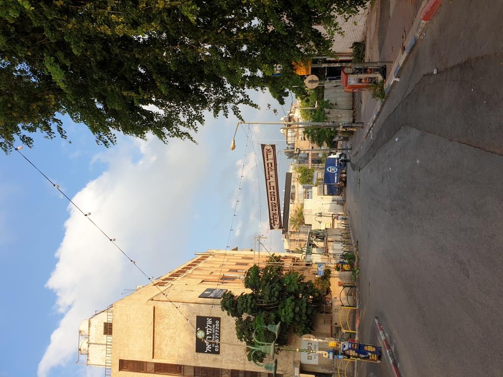 כך נערכים בויז'ניץ לקראת חתונת נכד האדמו"ר