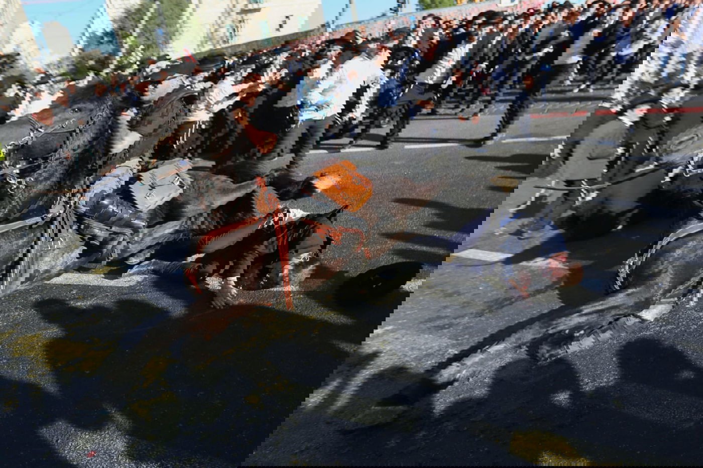 תיעוד דרמטי: החלקת הפרש, נפילת הסוס ופציעת המפגין