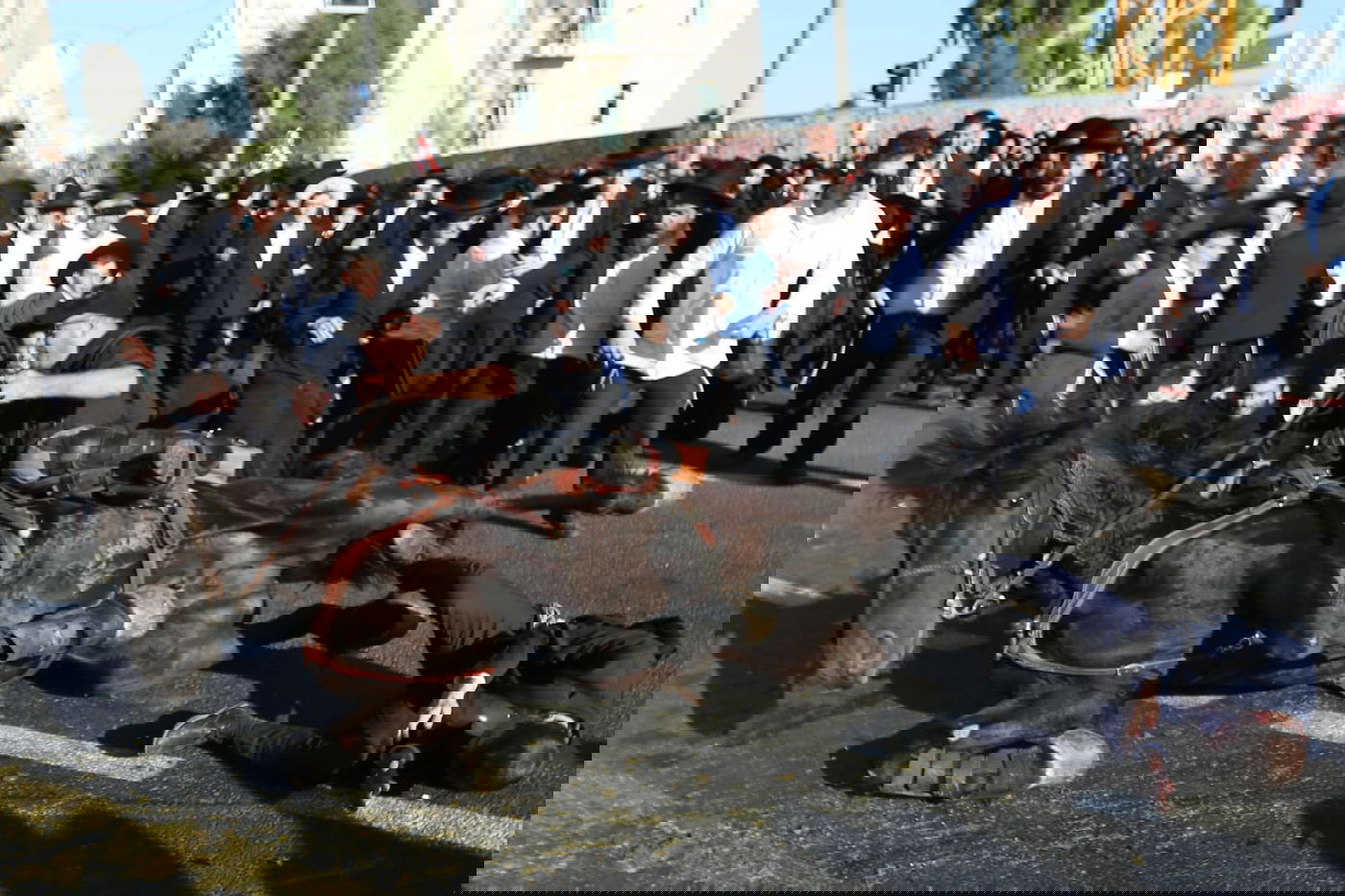 תיעוד דרמטי: החלקת הפרש, נפילת הסוס ופציעת המפגין