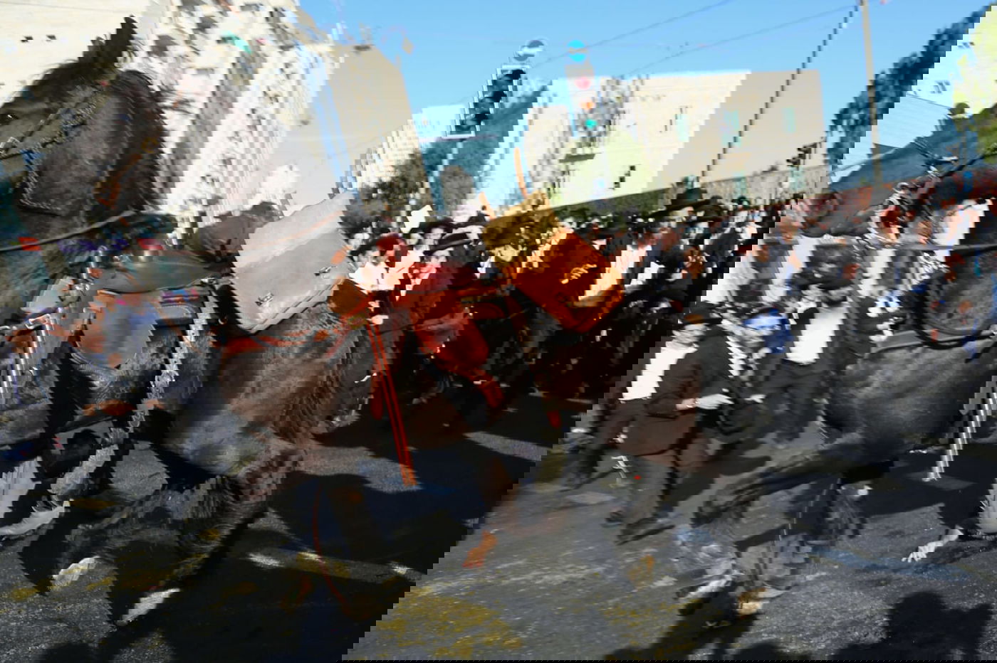 תיעוד דרמטי: החלקת הפרש, נפילת הסוס ופציעת המפגין