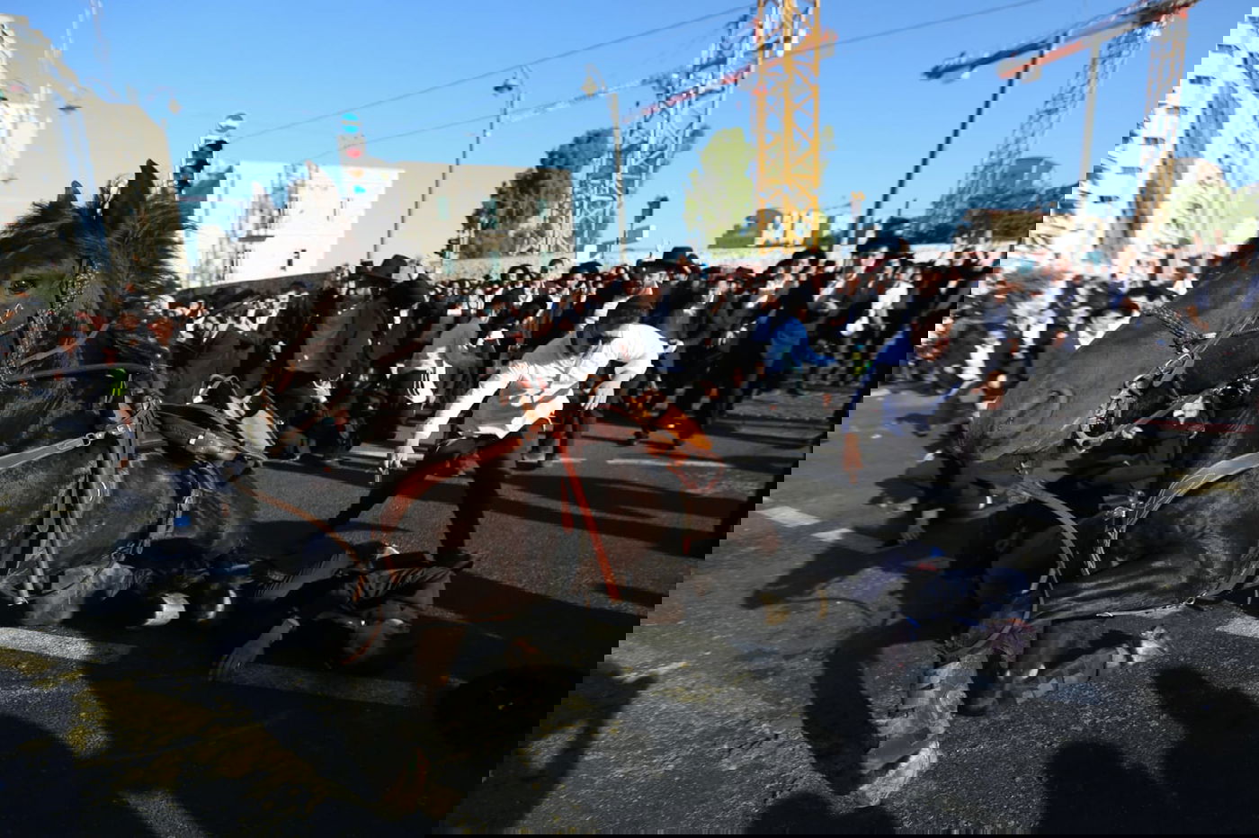 תיעוד דרמטי: החלקת הפרש, נפילת הסוס ופציעת המפגין