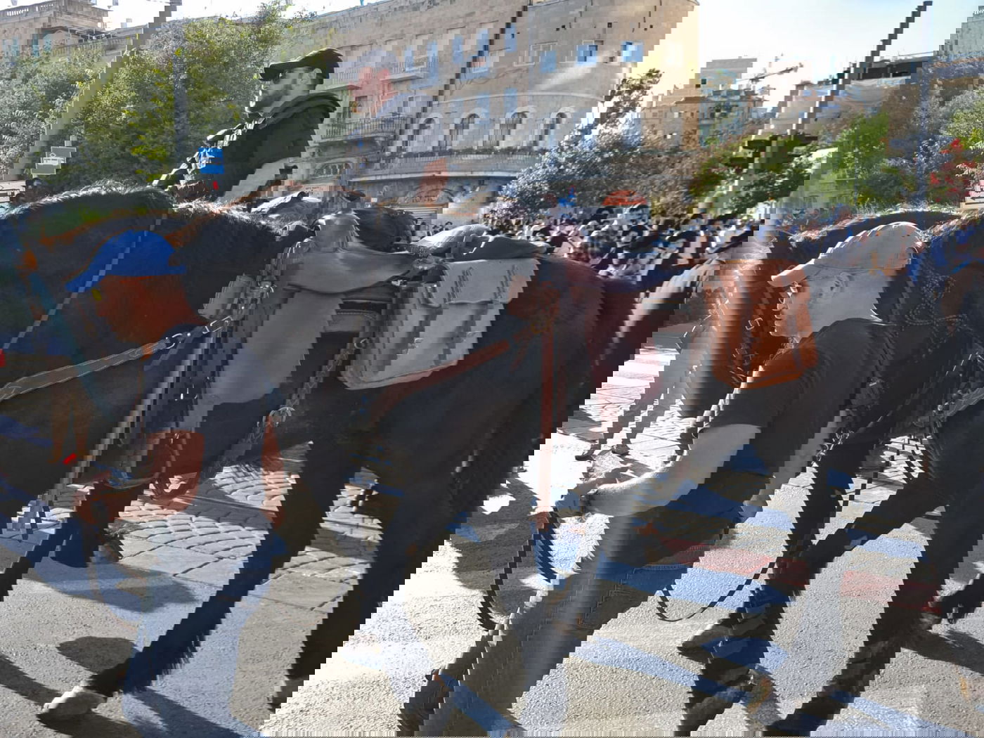 הפגנת 'הפלג' בירושלים: עימותים עם שוטרים; 22 עצורים