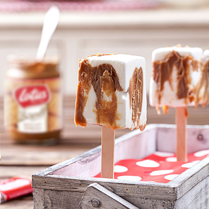 הרבה יותר כיף יוגורט על מקל! - ארטיק יוגורט וממרח לוטוס