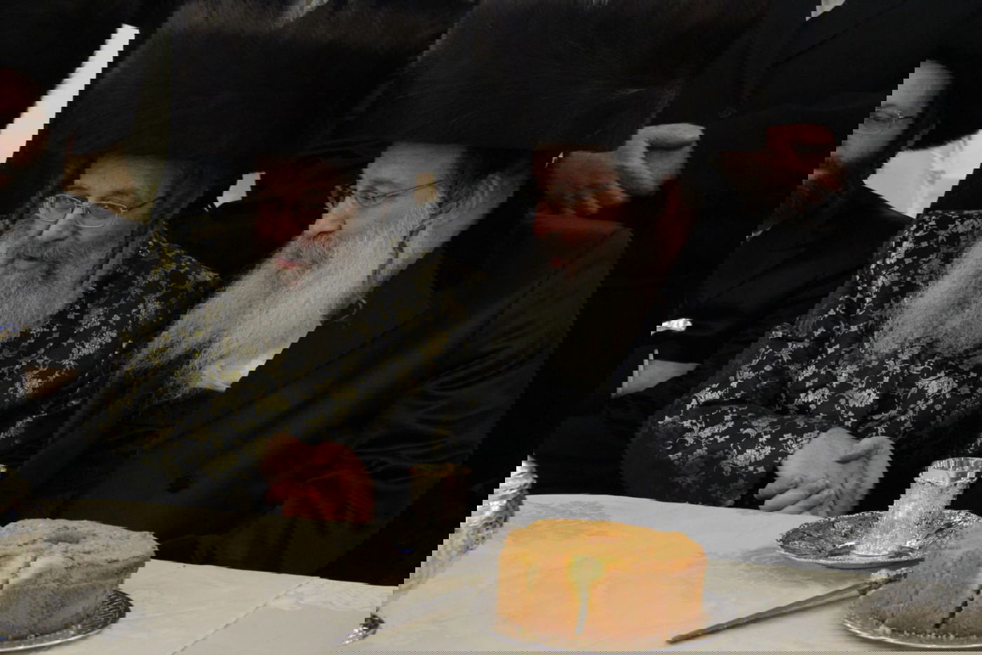 שמחת בית קאמרנא-ספינקא-דעעש • גלריה