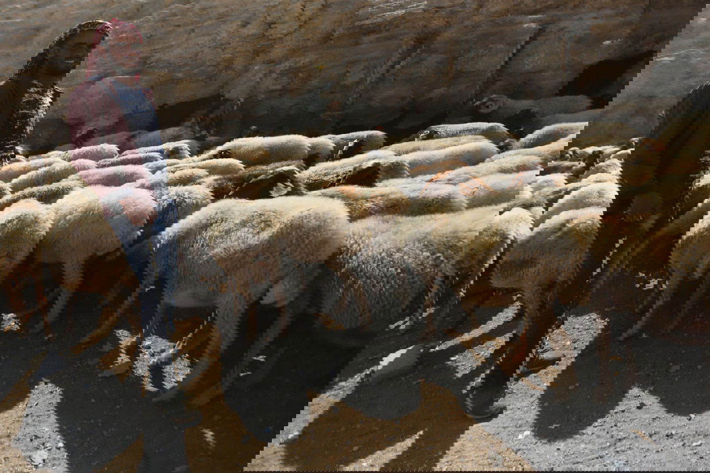 תיעוד: החיים השלווים של הבדואים במדבר יהודה