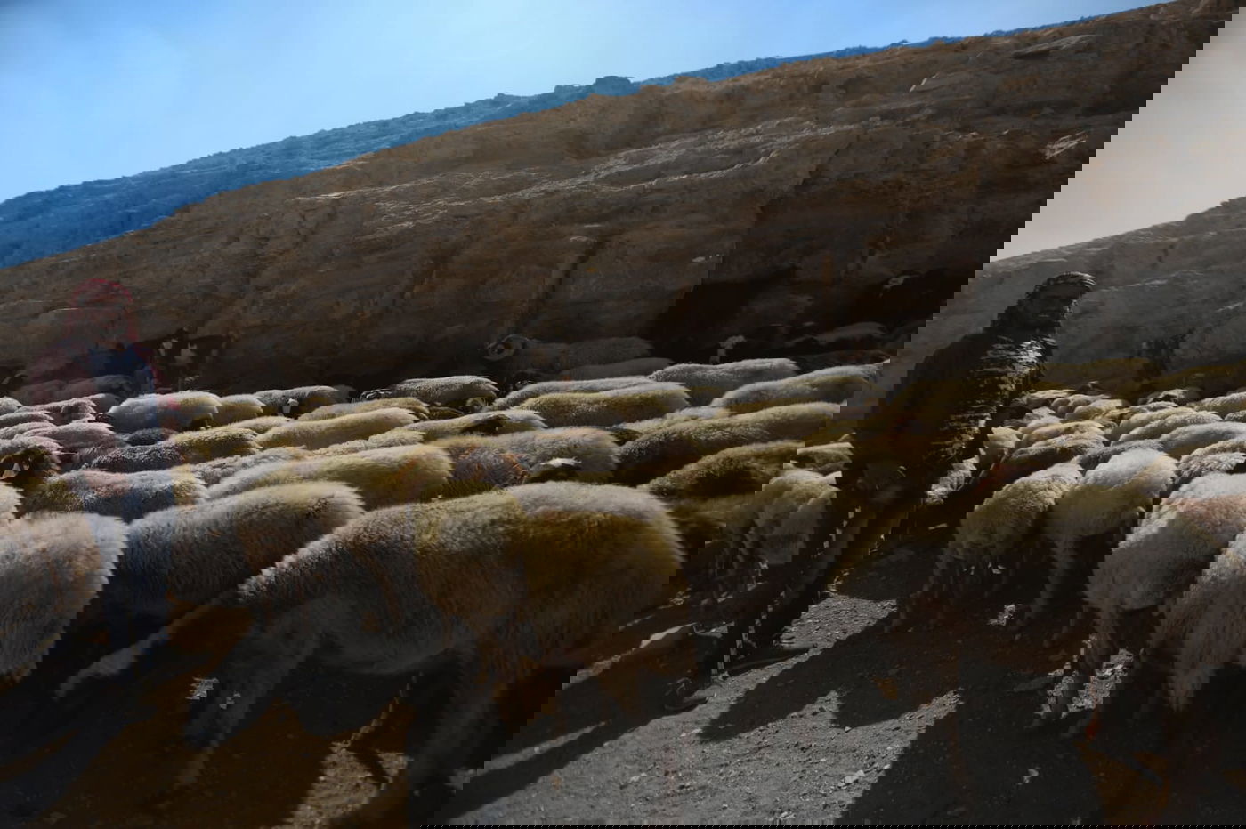 תיעוד: החיים השלווים של הבדואים במדבר יהודה