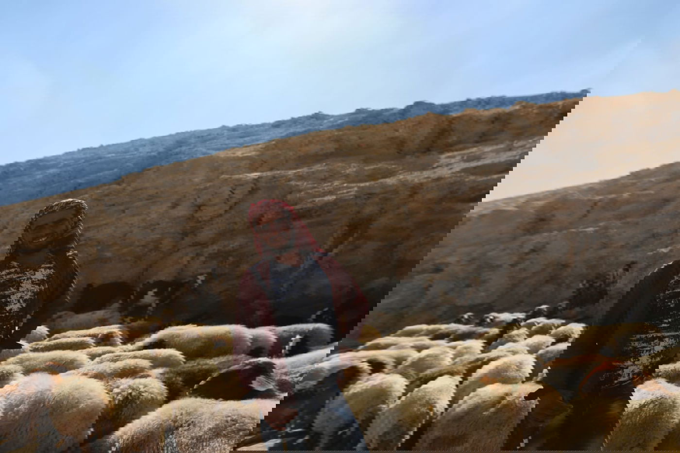 תיעוד: החיים השלווים של הבדואים במדבר יהודה