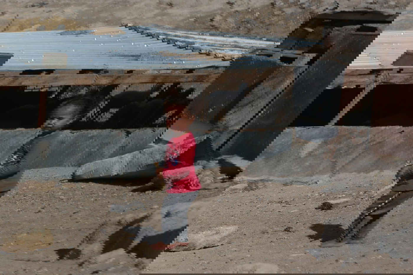 תיעוד: החיים השלווים של הבדואים במדבר יהודה