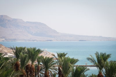 תחזית: עומס חום, גבוה מהרגיל ברוב הארץ