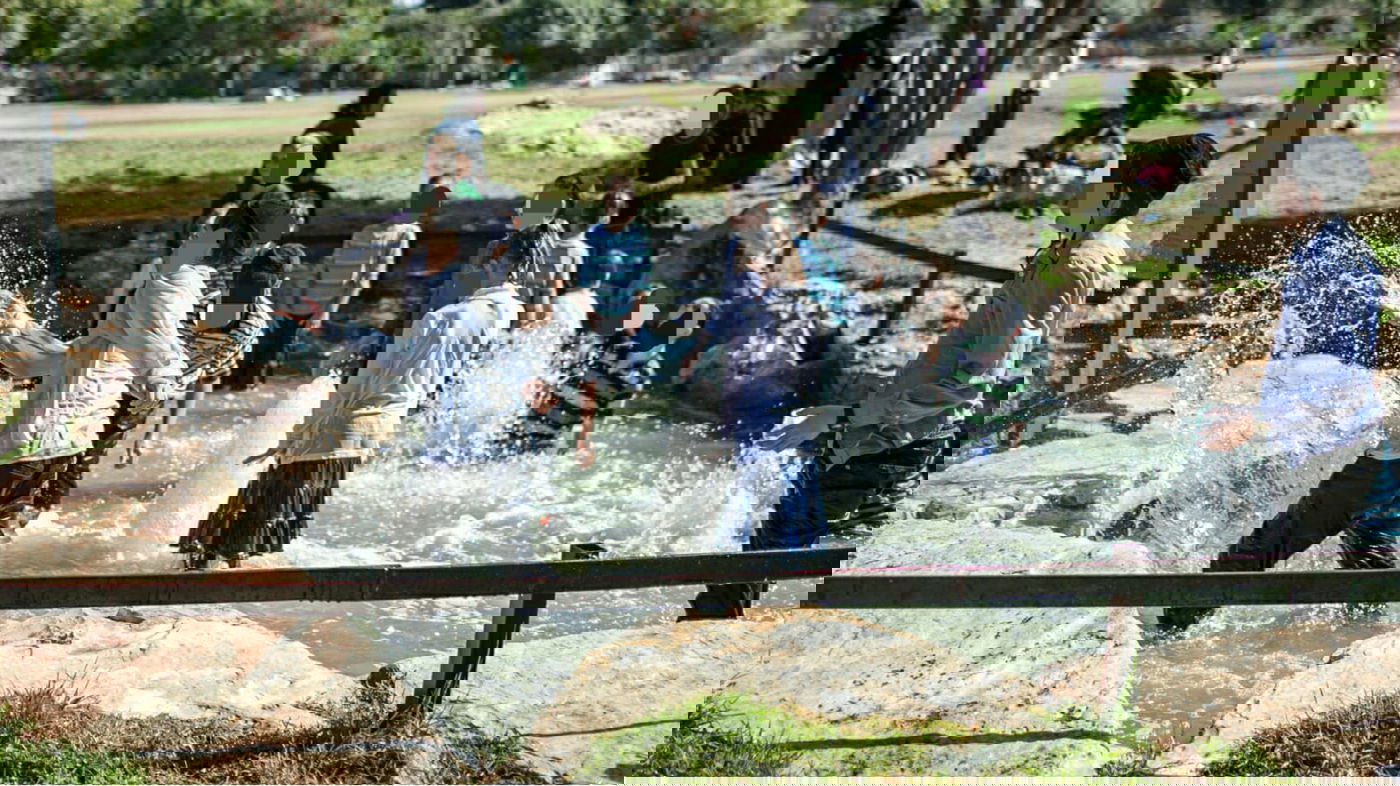 אילוסטרציה