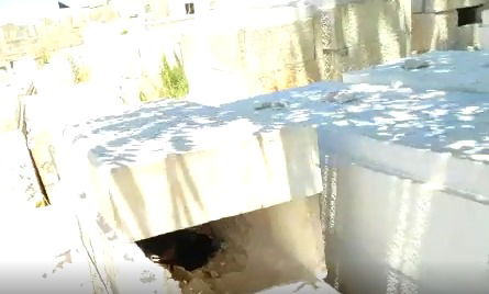 פתח שנפער בקבר, ממנו מציץ אחד הכלבים