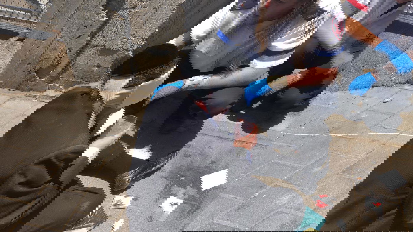 מפגין מ'הפלג' הוכה בראשו כשמחה בקול על 'גזירת הגיוס'