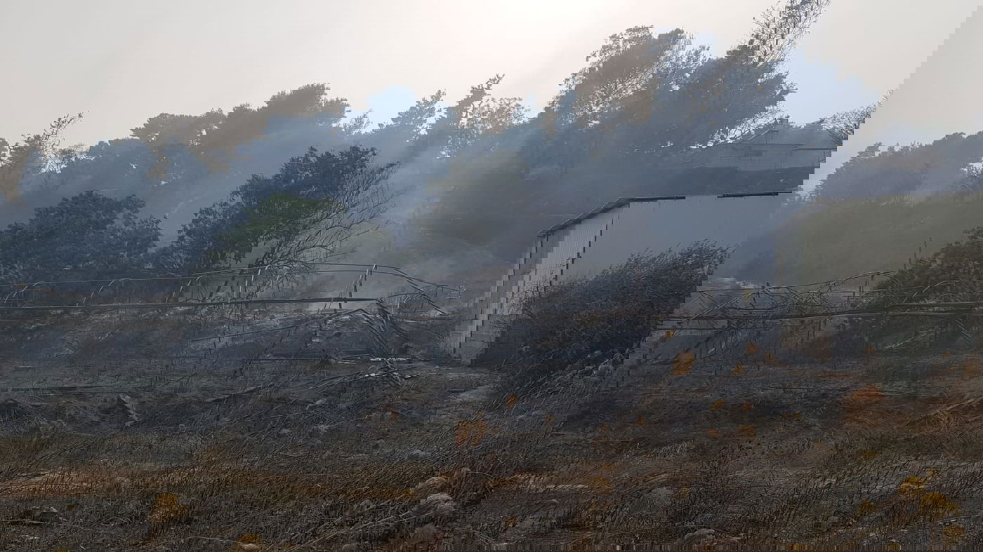 רגיעה בגל השריפות: כ-15 בתים עלו בלהבות המשתוללות