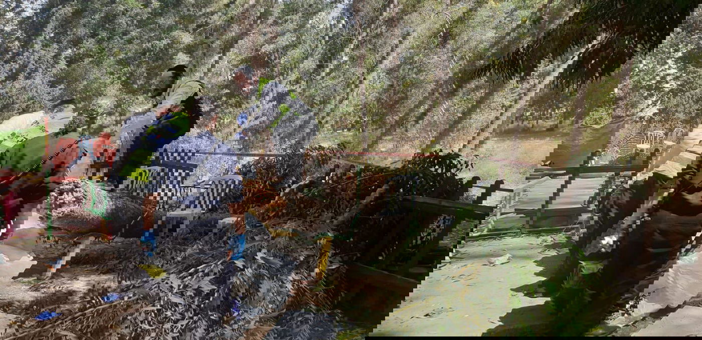 ילד בן 10 נהרג מקריסת עץ בפארק לכיש