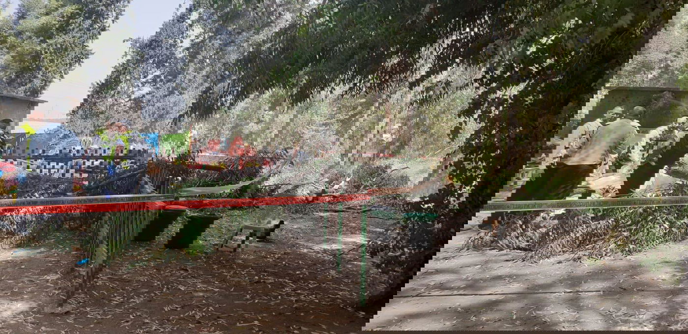 ילד בן 10 נהרג מקריסת עץ בפארק לכיש