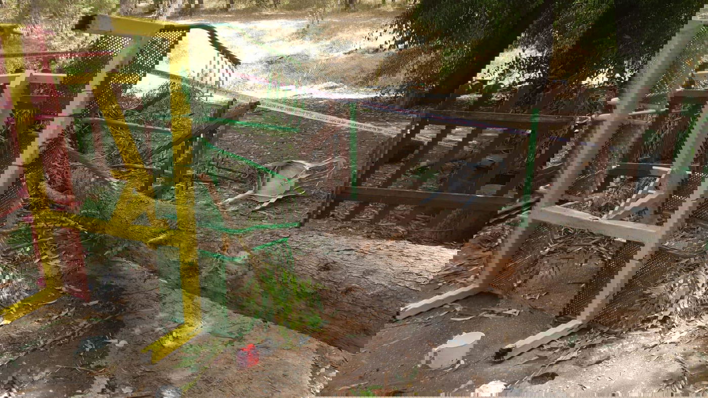 ילד בן 10 נהרג מקריסת עץ בפארק לכיש