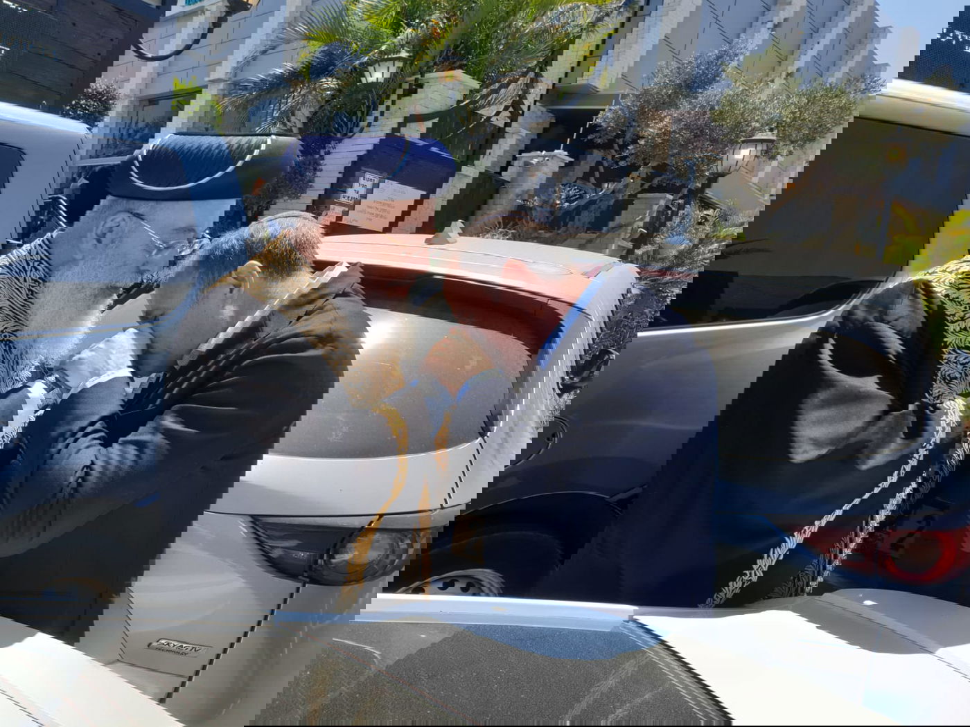 ערב שבת של הראשל"צ: שלוש בריתות. צפו