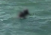 נס בכנרת: הרוכבים נמצאו הרחק מהאופנוע