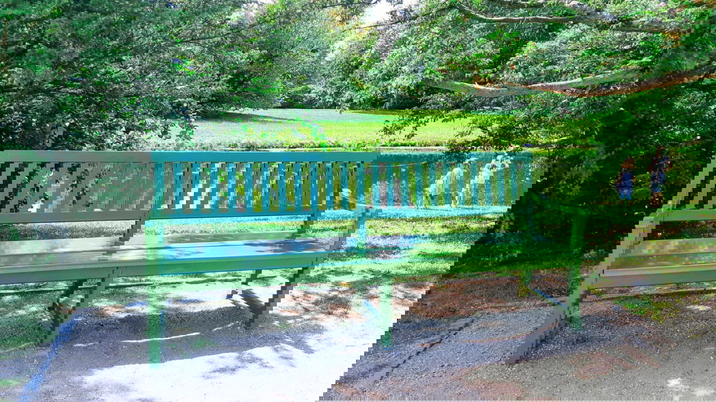 בואו לטייל בברלין דרך עדשת המצלמה • צפו