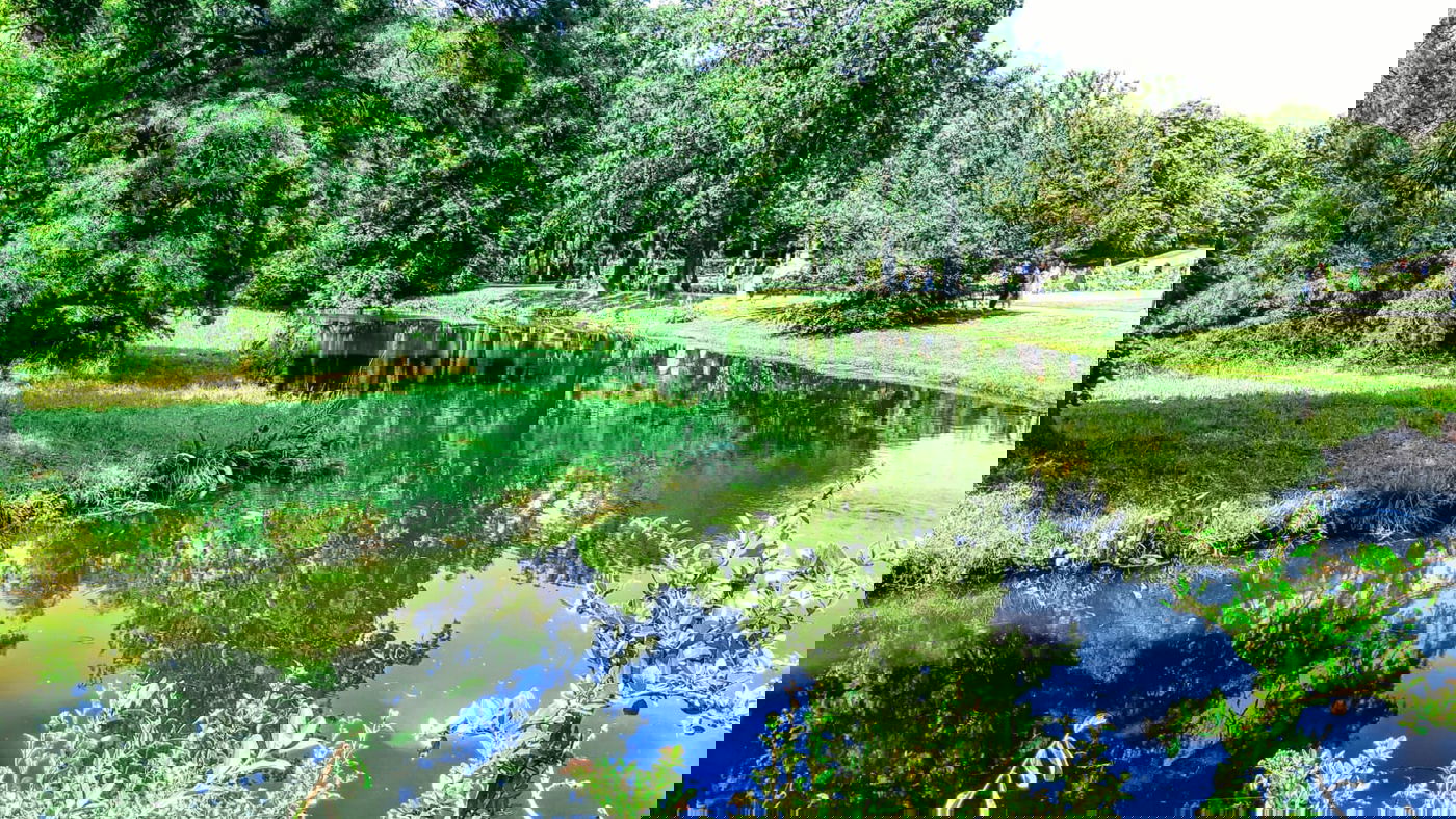 בואו לטייל בברלין דרך עדשת המצלמה • צפו