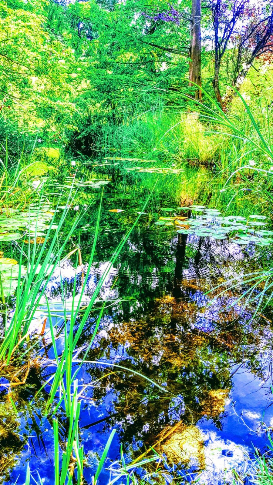 בואו לטייל בברלין דרך עדשת המצלמה • צפו