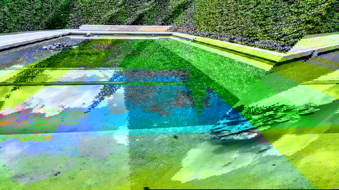 בואו לטייל בברלין דרך עדשת המצלמה • צפו