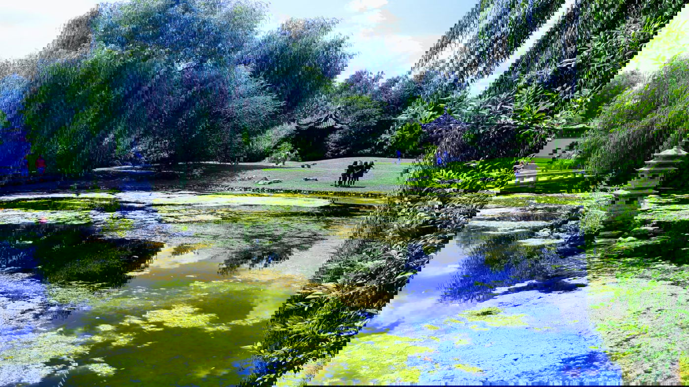 בואו לטייל בברלין דרך עדשת המצלמה • צפו