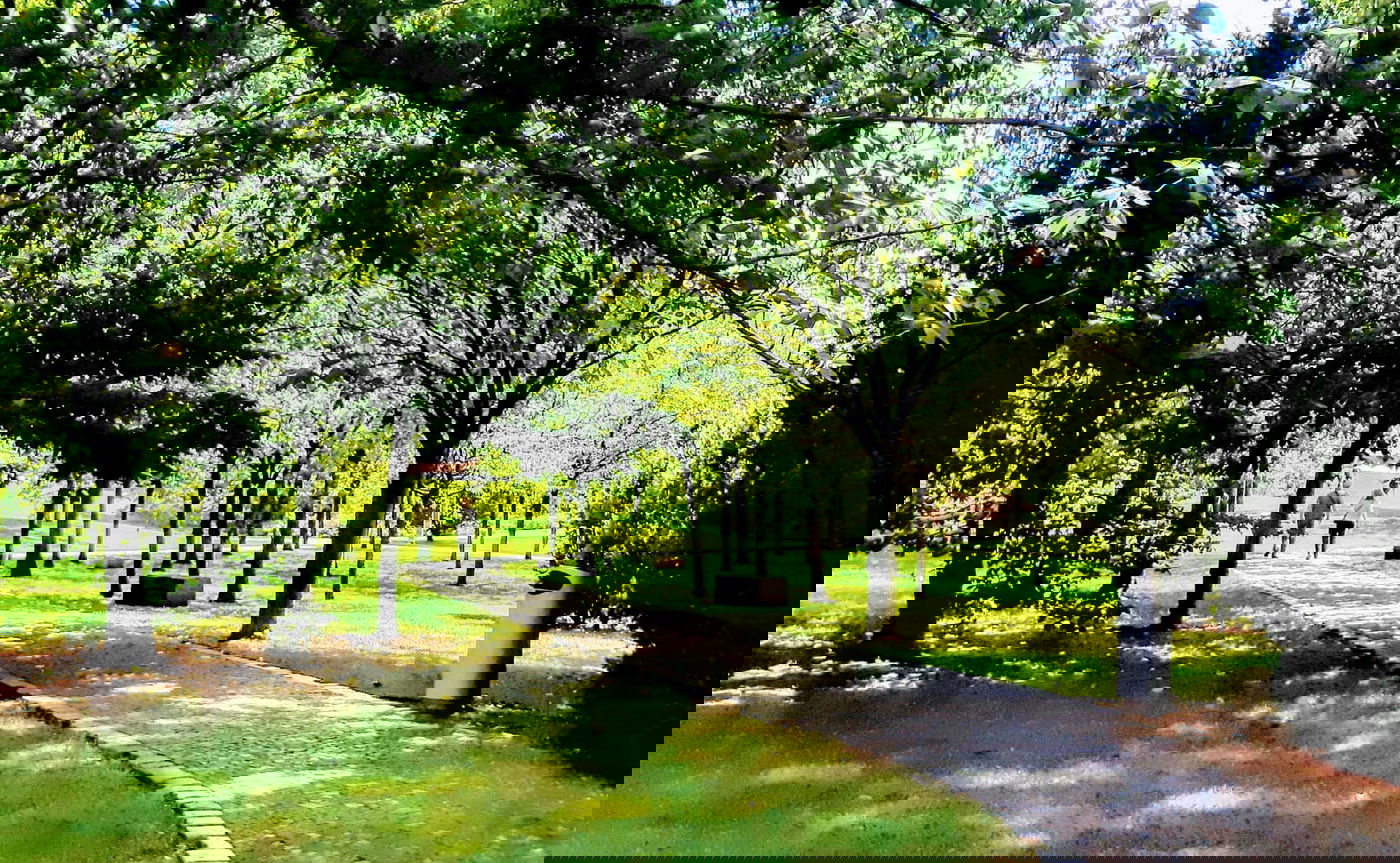 בואו לטייל בברלין דרך עדשת המצלמה • צפו